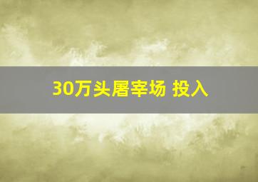 30万头屠宰场 投入